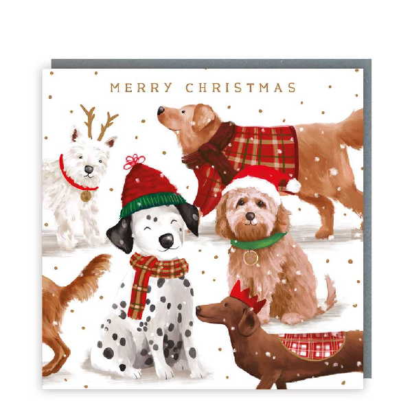 Festive Dogs Holiday Card Pack | Set of 5