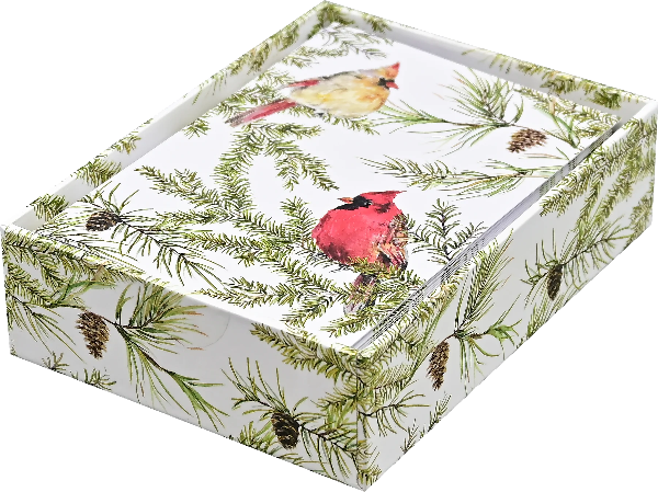 Cardinals In Evergreen Boxed Holiday Cards | Set of 20