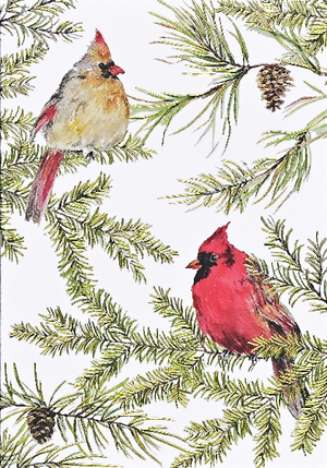 Cardinals In Evergreen Boxed Holiday Cards | Set of 20