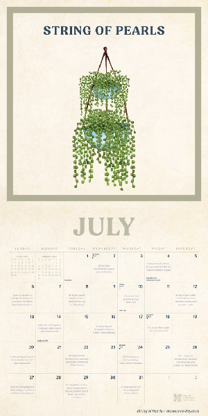 2025 Monthly Wall Calendar | House Plants