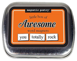 Mini Magnetic Poetry Kit | Awesome