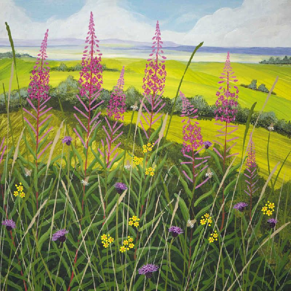 Willow Herb Blank Art Card